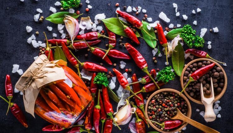 تصاویر استوک فلفل های قرمز با پس زمینه مشکی   Chili Peppers