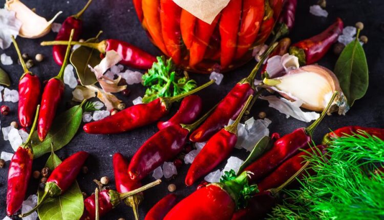 تصاویر استوک فلفل های قرمز با پس زمینه مشکی   Chili Peppers