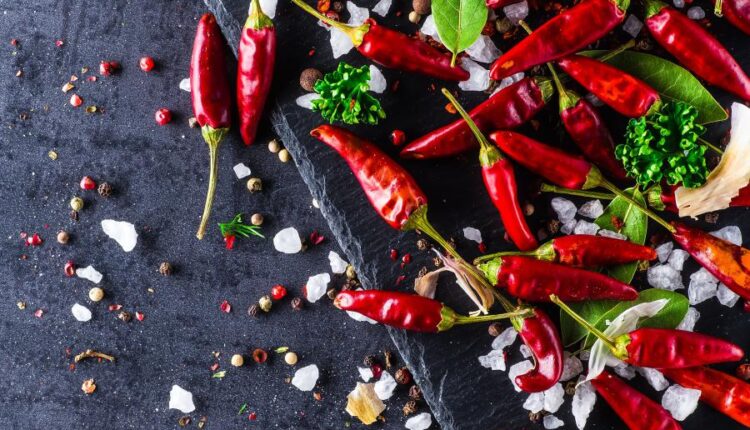 تصاویر استوک فلفل های قرمز با پس زمینه مشکی   Chili Peppers