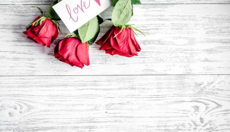 عکس استوک روز ولنتاین   Concept Valentine Day with Flower