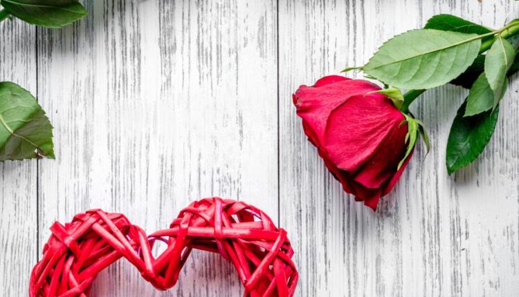 عکس استوک روز ولنتاین   Concept Valentine Day with Flower