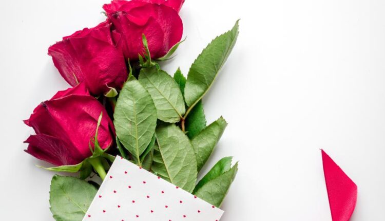 عکس استوک روز ولنتاین   Concept Valentine Day with Flower