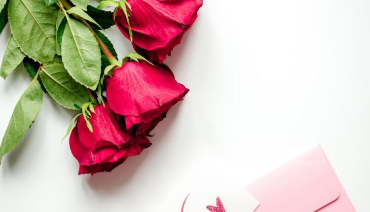 عکس استوک روز ولنتاین   Concept Valentine Day with Flower