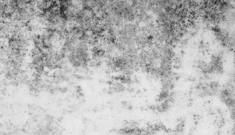 تکسچر و پس زمینه های طرح دیوار   Backgrounds and Textures