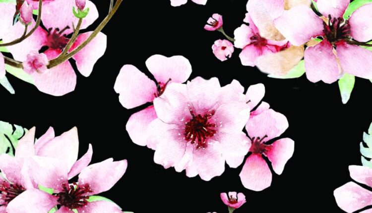 تصاویر PNG گل های صورتی ساکورا   Sakura Watercolor set