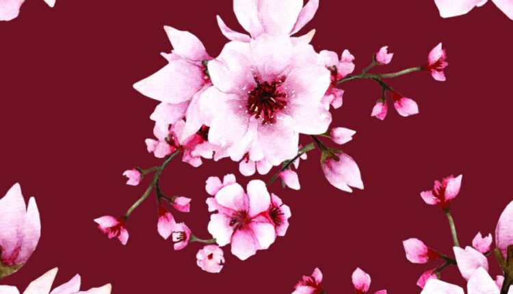 تصاویر PNG گل های صورتی ساکورا   Sakura Watercolor set