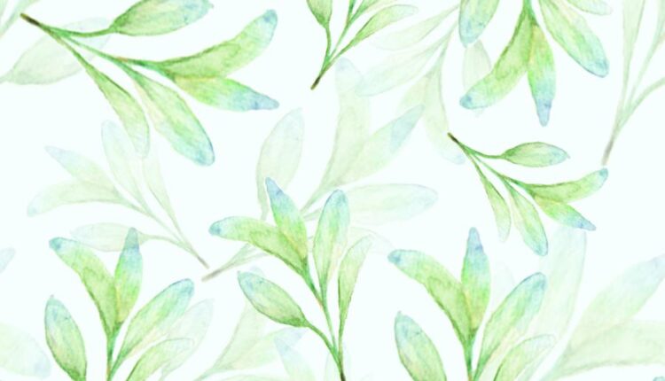 تصاویر PNG گل های صورتی ساکورا   Sakura Watercolor set