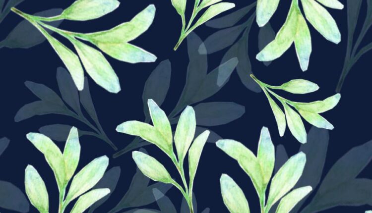 تصاویر PNG گل های صورتی ساکورا   Sakura Watercolor set