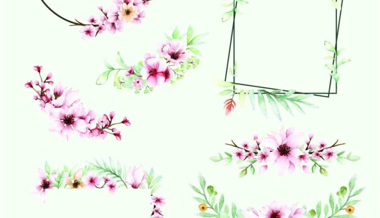 تصاویر PNG گل های صورتی ساکورا   Sakura Watercolor set