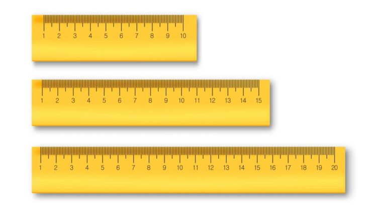 مجموعه وکتور های مدرسه   Back to school collection