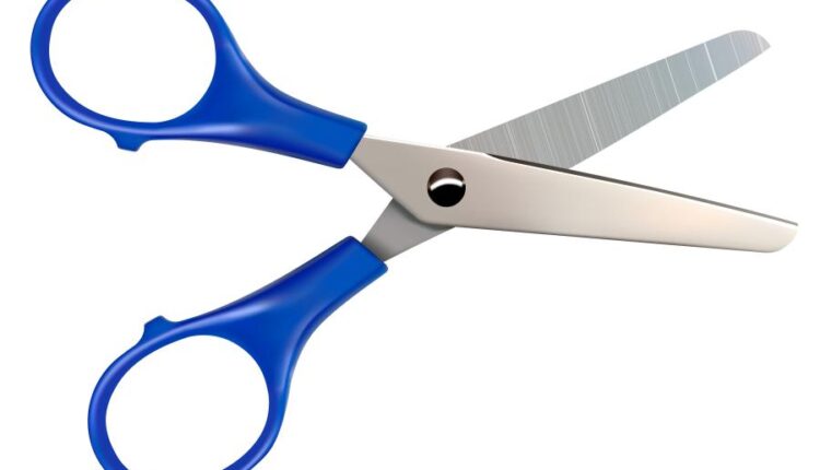 مجموعه وکتور های مدرسه   Back to school collection