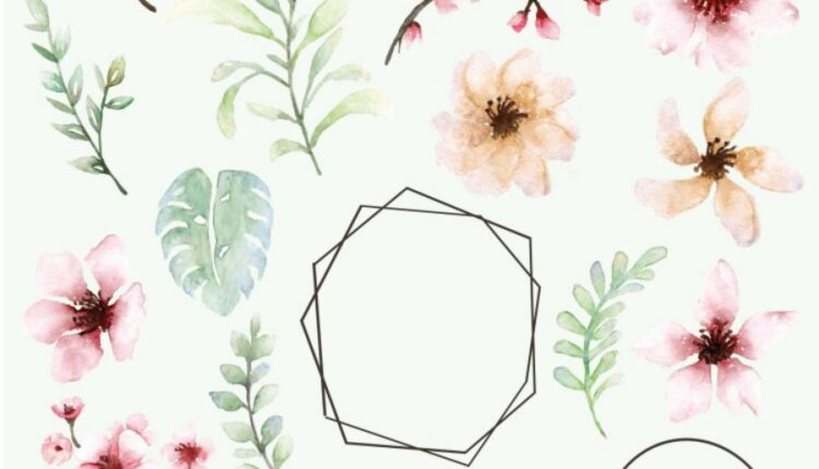 تصاویر PNG گل های صورتی ساکورا   Sakura Watercolor set