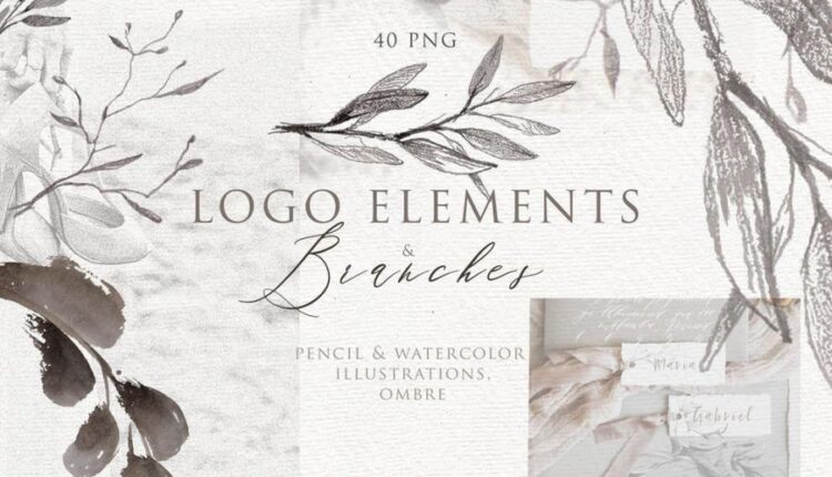 تصاویر png آبرنگی انواع گیاهان   LOGO ELEMENTS