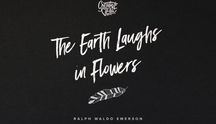 براش فانتزی گل   Flower Touch Procreate Brushes