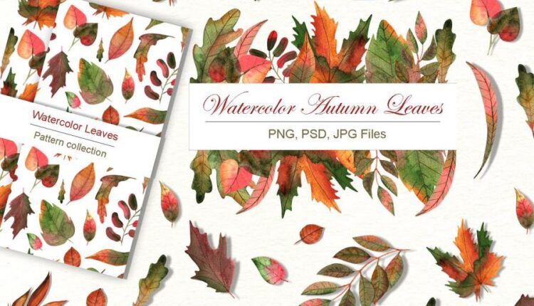 تصاویر PNG برگ های پاییزی آبرنگی   Watercolor Autumn Leave