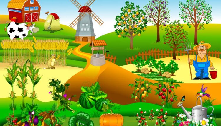 مجموعه تصویرسازی های مزرعه   Farm natural products