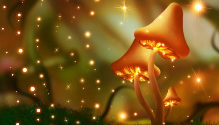 90 استایل رنگی پاییز   Cartoon Autumn Swatches