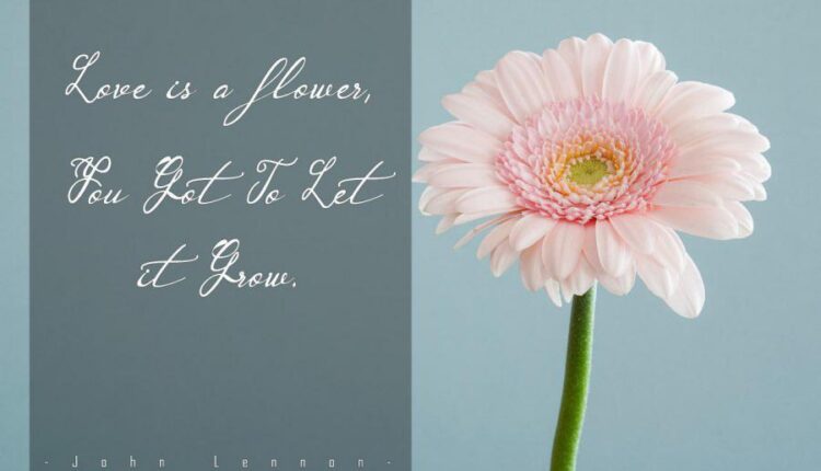 فونت انگلیسی دست نویس گابرا   Garbera Flower Font