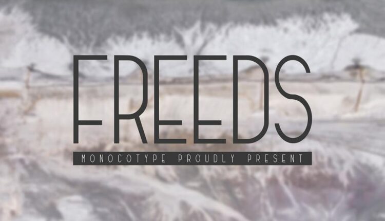 فونت انگلیسی فانتزی فریدز   Freeds Modern Font