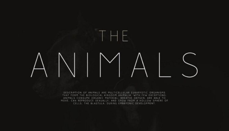 فونت انگلیسی سنس سریف رالوز   Rolves Font