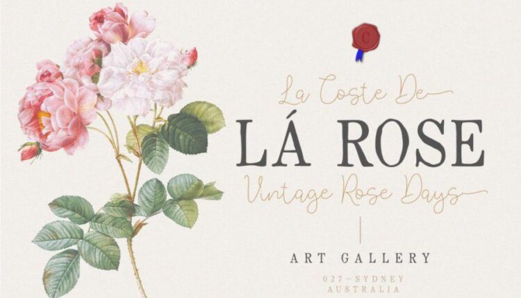 فونت انگلیسی زیبا راوی   Rovey Font family