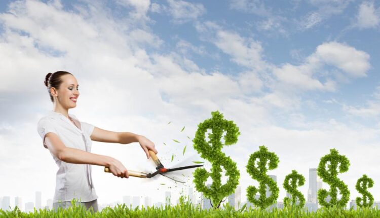 عکس های استوک محیط زیست   Ecology concept