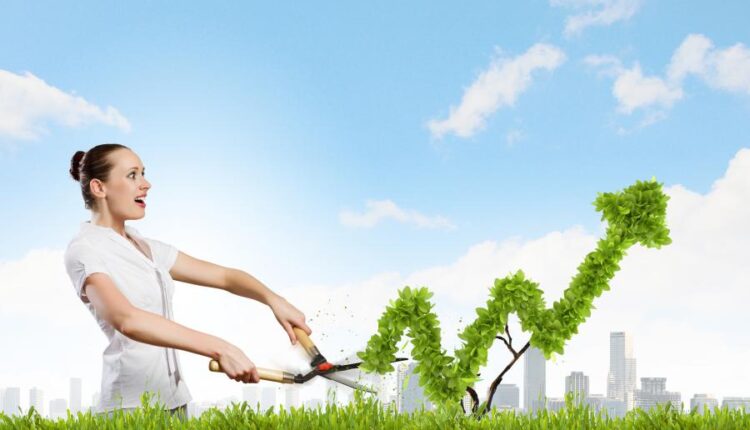 عکس های استوک محیط زیست   Ecology concept