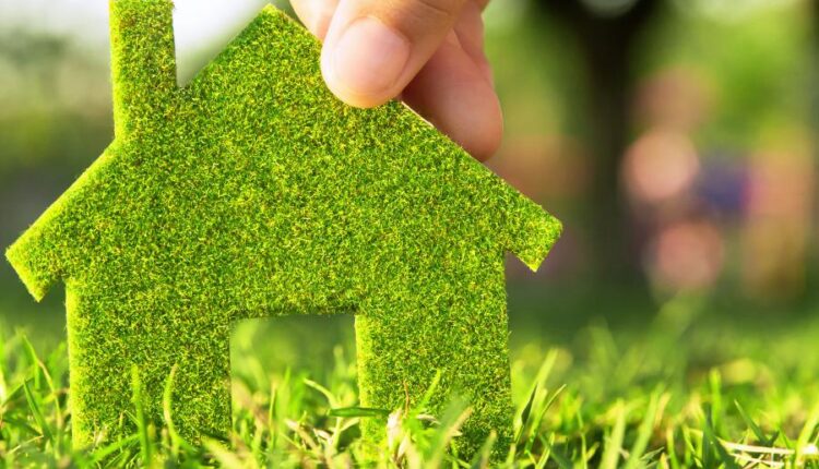 عکس های استوک محیط زیست   Ecology concept