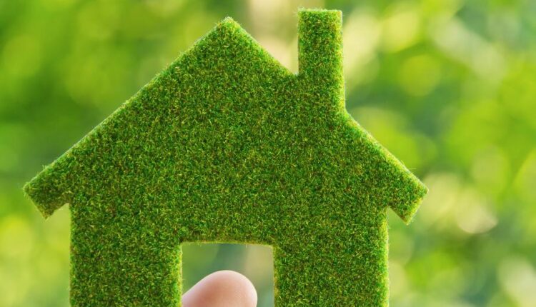 عکس های استوک محیط زیست   Ecology concept