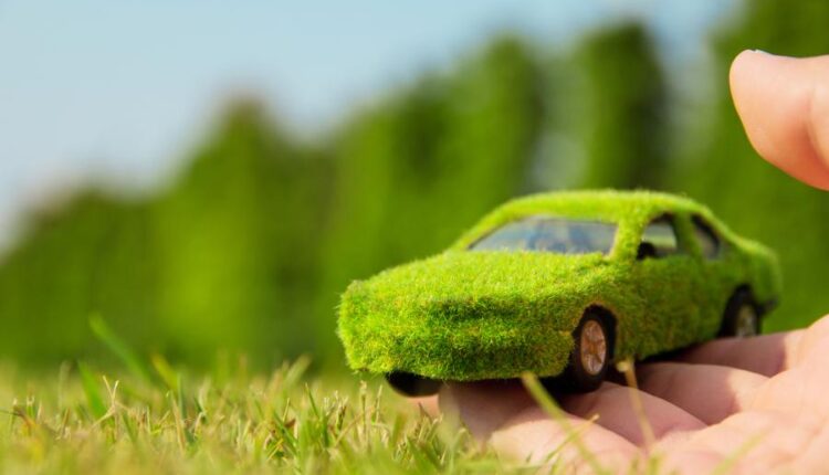 عکس های استوک محیط زیست   Ecology concept