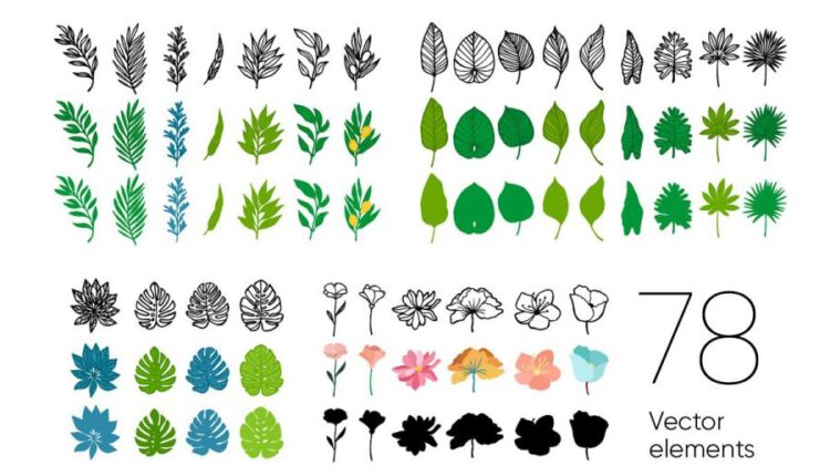 پس زمینه و پترن زیبای گل   Floral Backgrounds & Patterns