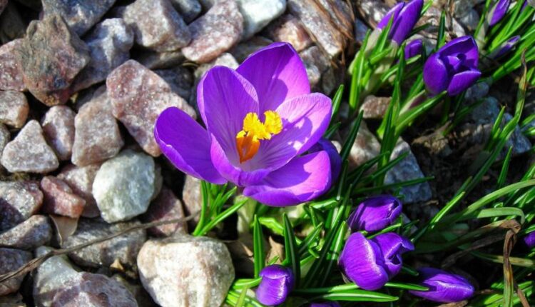 سری پنجاه و هشتم عکس زمینه های باکیفیت   Beautiful Wallpapers