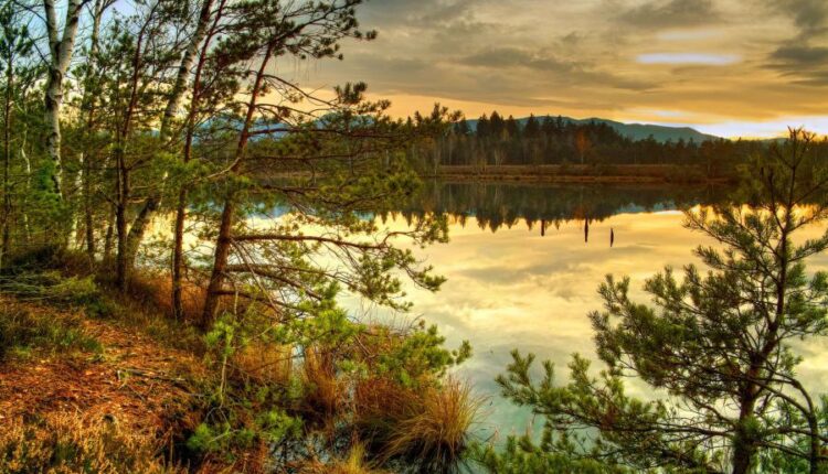 سری پنجاه و هشتم عکس زمینه های باکیفیت   Beautiful Wallpapers