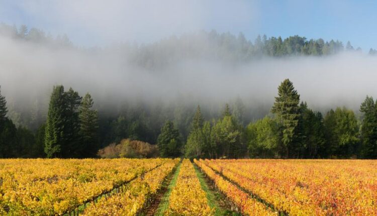 سری پنجاه و هشتم عکس زمینه های باکیفیت   Beautiful Wallpapers