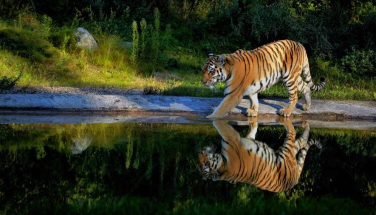 سری پنجاه و هشتم عکس زمینه های باکیفیت   Beautiful Wallpapers