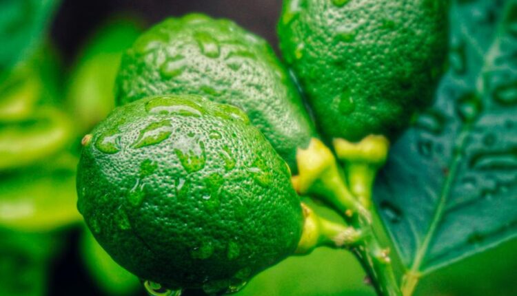 سری پنجاه و هشتم عکس زمینه های باکیفیت   Beautiful Wallpapers