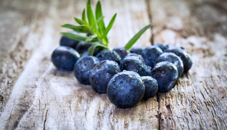 سری پنجاه و هشتم عکس زمینه های باکیفیت   Beautiful Wallpapers