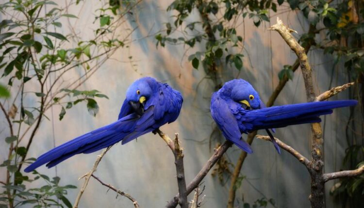 سری پنجاه و هشتم عکس زمینه های باکیفیت   Beautiful Wallpapers