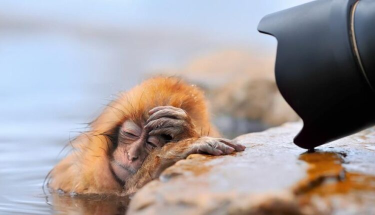 سری پنجاه و هشتم عکس زمینه های باکیفیت   Beautiful Wallpapers