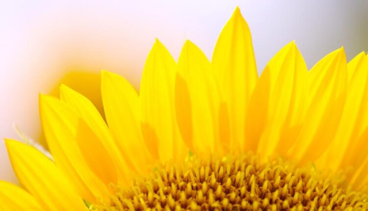 سری پنجاه و هشتم عکس زمینه های باکیفیت   Beautiful Wallpapers