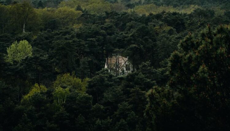 سری پنجاه و هشتم عکس زمینه های باکیفیت   Beautiful Wallpapers