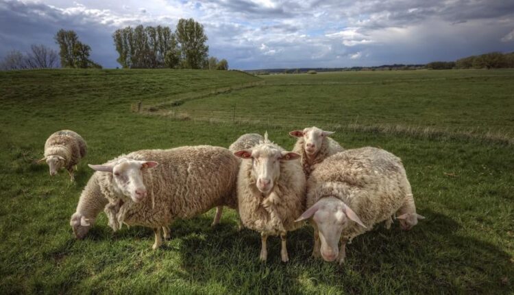 سری پنجاه و هشتم عکس زمینه های باکیفیت   Beautiful Wallpapers