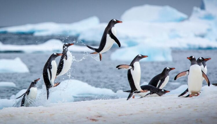 سری پنجاه و هشتم عکس زمینه های باکیفیت   Beautiful Wallpapers