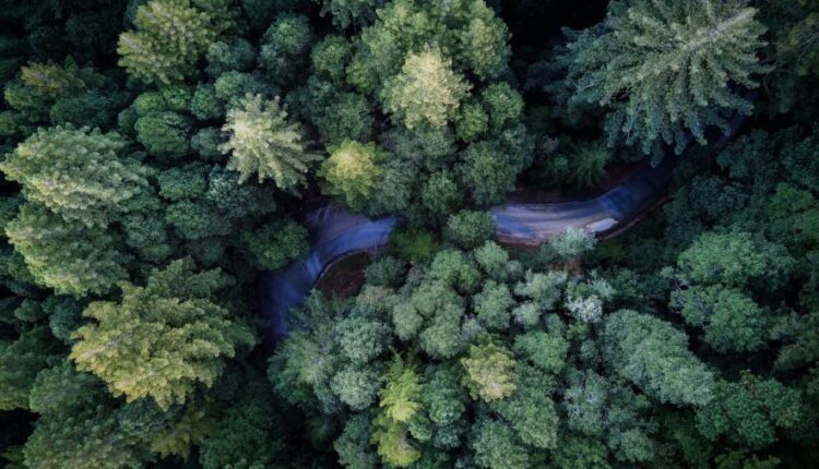 سری پنجاه و هشتم عکس زمینه های باکیفیت   Beautiful Wallpapers