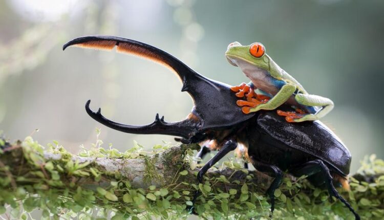 سری پنجاه و هشتم عکس زمینه های باکیفیت   Beautiful Wallpapers