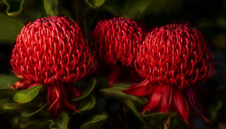 سری پنجاه و هشتم عکس زمینه های باکیفیت   Beautiful Wallpapers