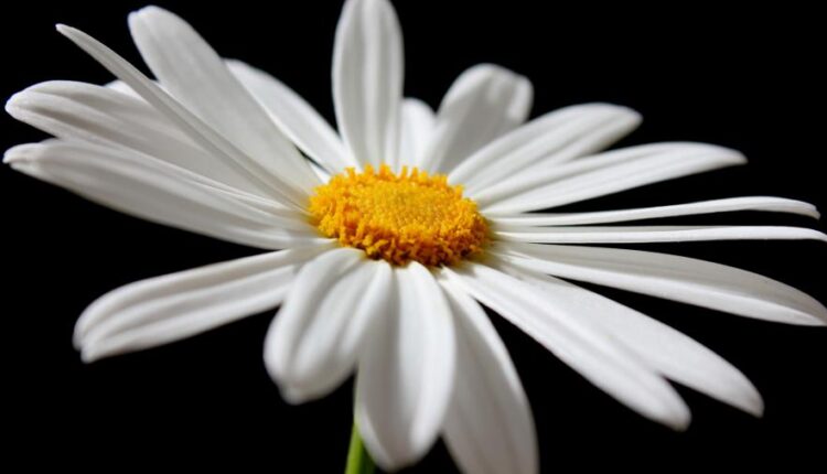 سری پنجاه و هشتم عکس زمینه های باکیفیت   Beautiful Wallpapers