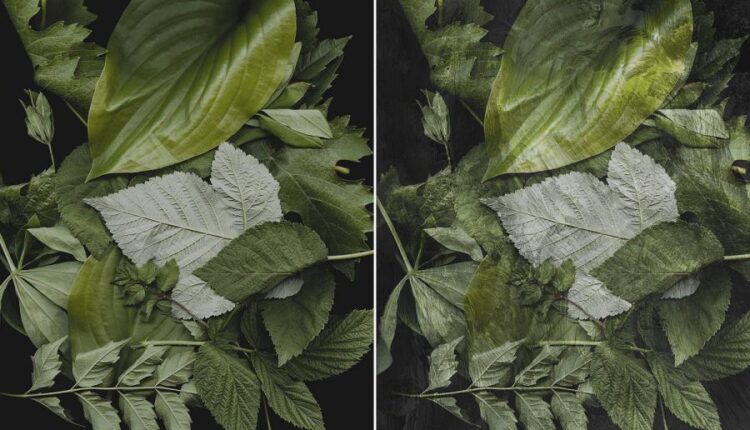 تکسچر رنگ اکرلیک   Fine Art Acrylic Paint Textures