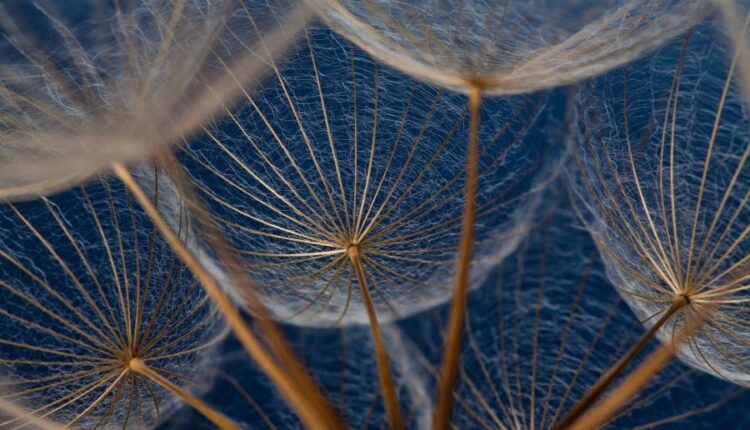 تصاویر استوک خلاقانه   Images of a creative idea