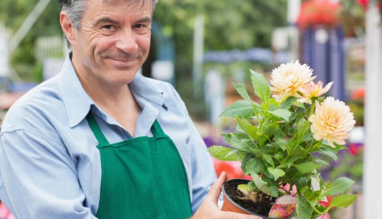 عکس استوک باغبان و باغچه   People and gardening